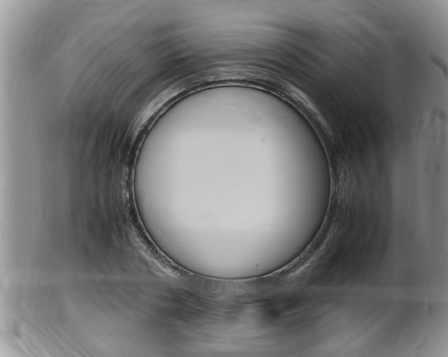 X0000099530786200805160724