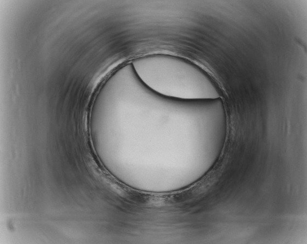X0000099530790200805160724