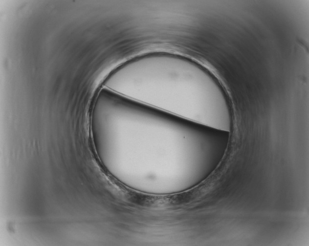 X0000099530791200805160724