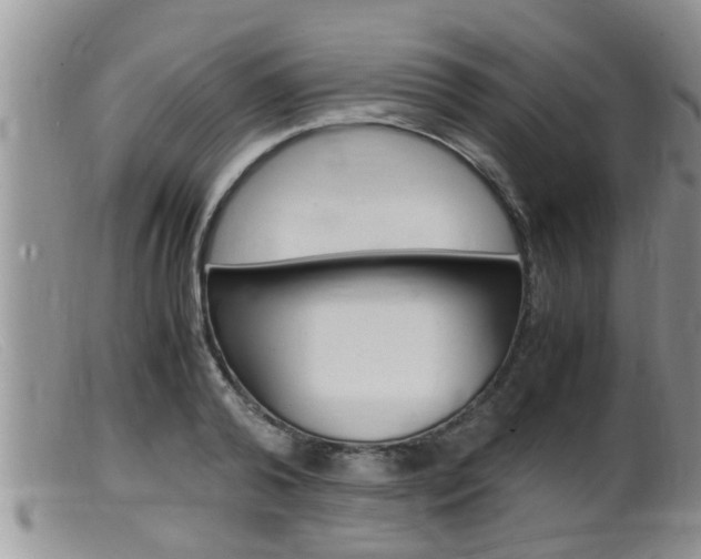 X0000099530792200805160724