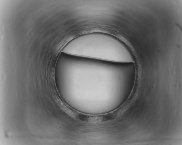 X0000099530793200805160724