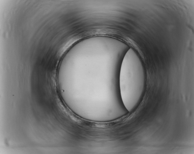 X0000099530794200805160724