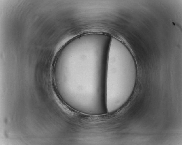 X0000099530795200805160724