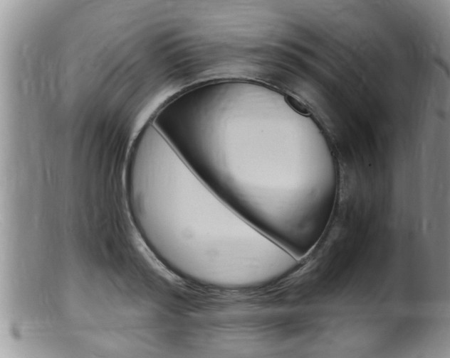 X0000099530796200805160724
