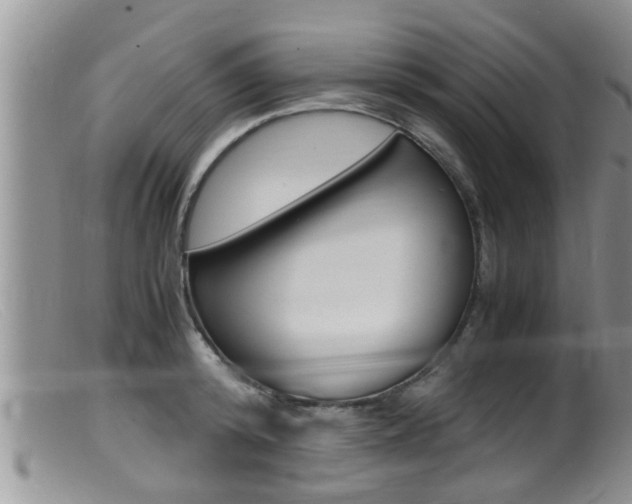X0000099530800200805160724