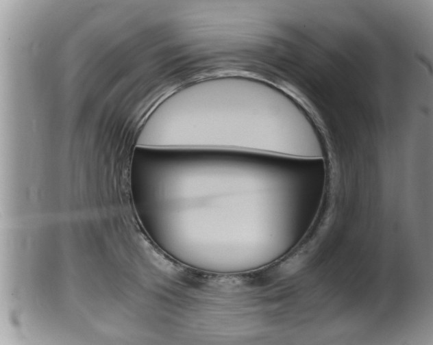 X0000099530801200805160724