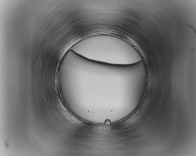 X0000099530802200805160724
