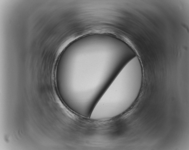 X0000099530803200805160724