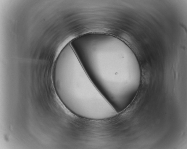 X0000099530804200805160724