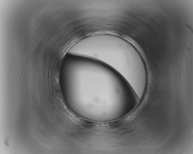 X0000099530809200805160724
