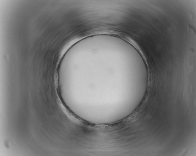 X0000099530811200805160724