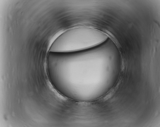 X0000099530812200805160724