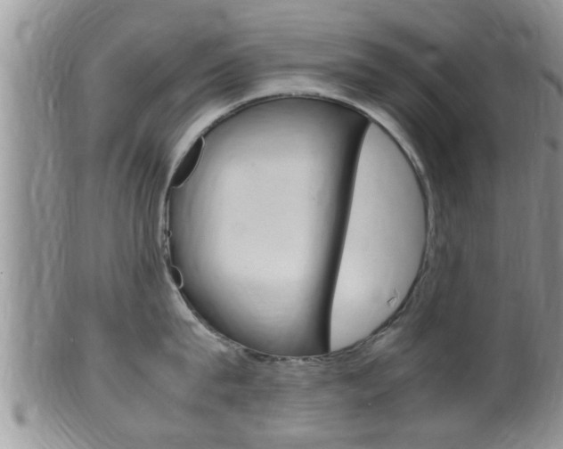 X0000099530815200805160724