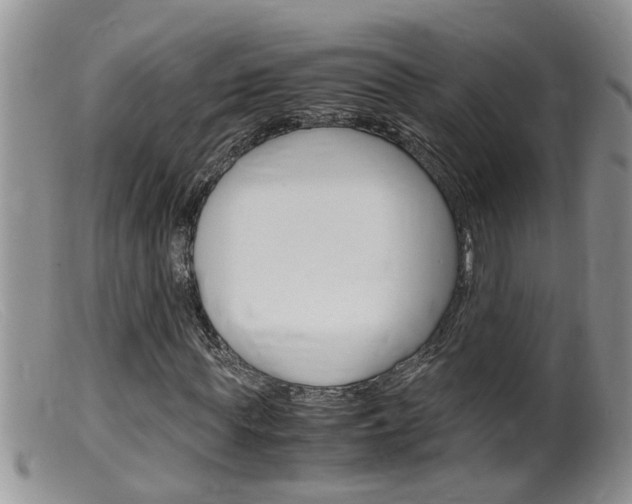 X0000099530819200805160723