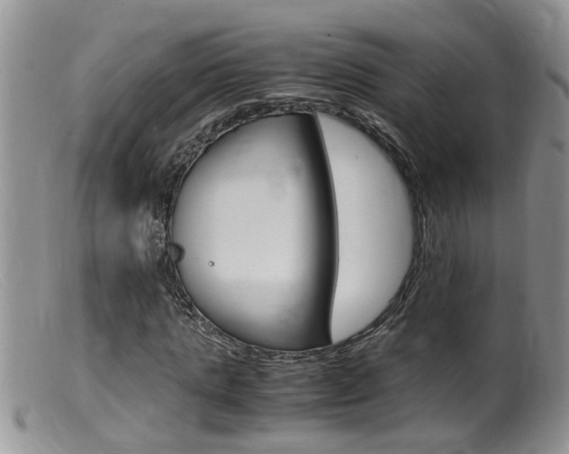 X0000099530821200805160723