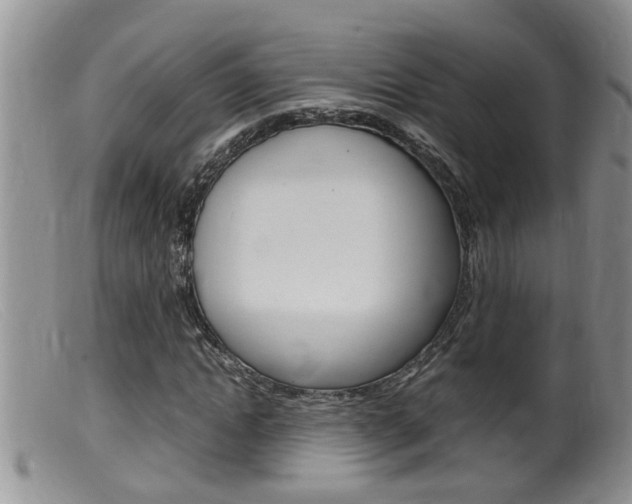 X0000099530822200805160723