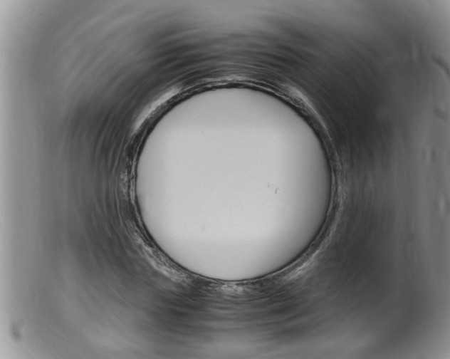 X0000099530827200805160723