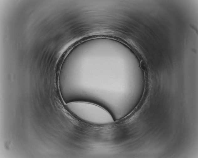 X0000099530830200805160723