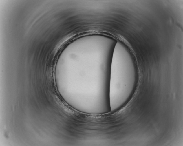 X0000099530831200805160723
