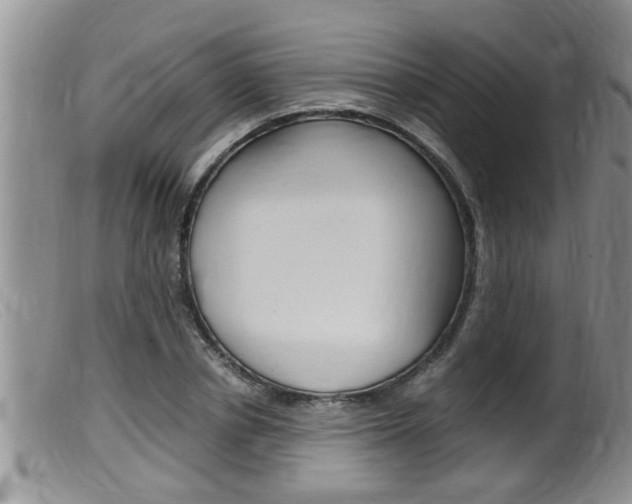 X0000099530834200805160723