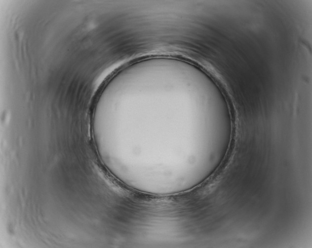 X0000099530838200805160723