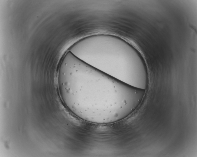X0000099530839200805160723