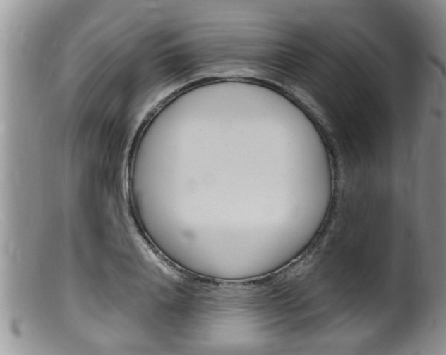 X0000099530840200805160723