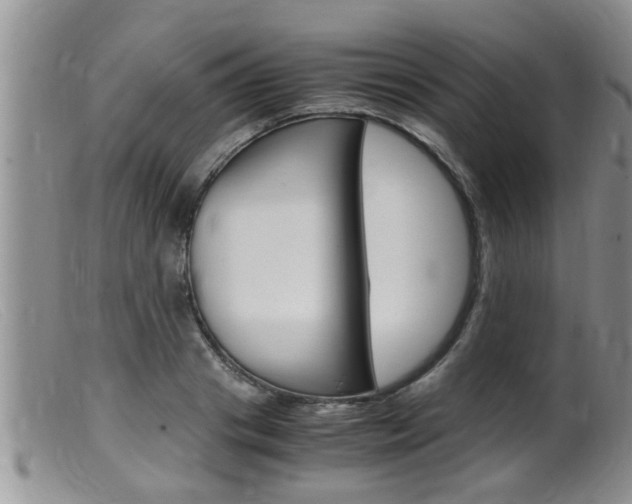 X0000099530841200805160723