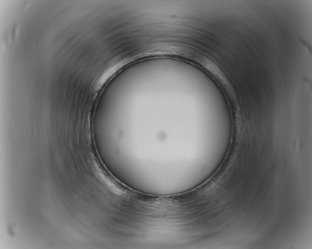 X0000099530842200805160723