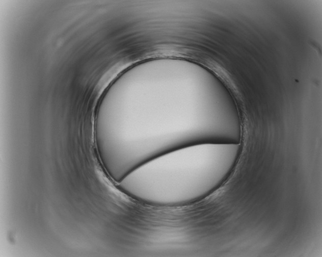 X0000099530844200805160723