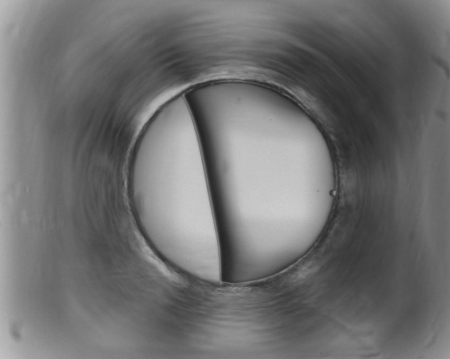 X0000099530846200805160723