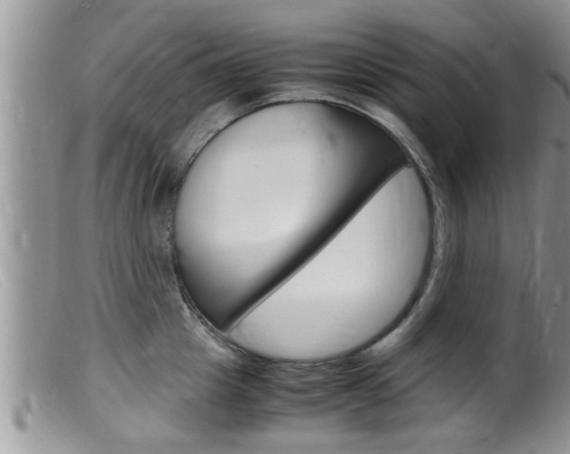 X0000099530857200805160723