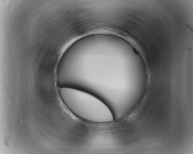 X0000099530862200805160724