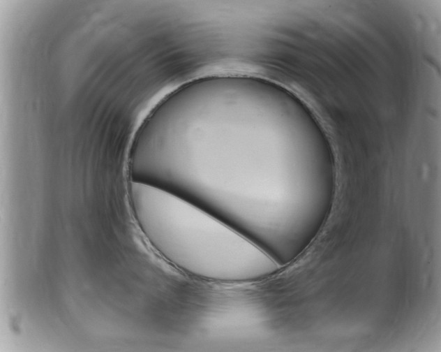 X0000099530864200805160724
