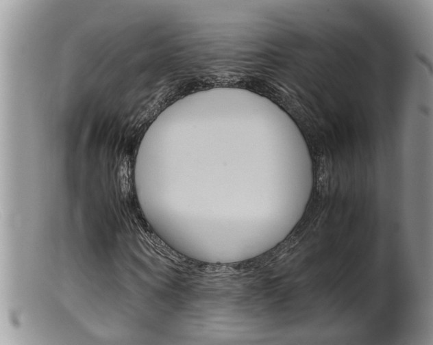 X0000099530866200805160723