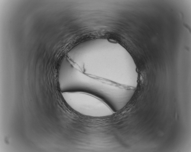 X0000099530867200805160723