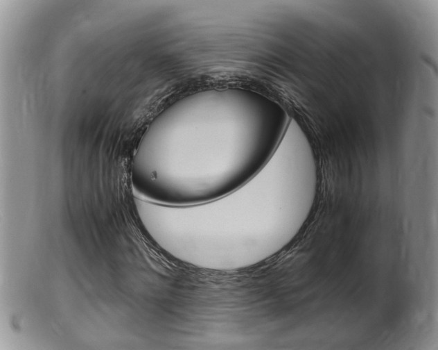X0000099530868200805160722