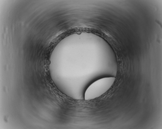 X0000099530870200805160722