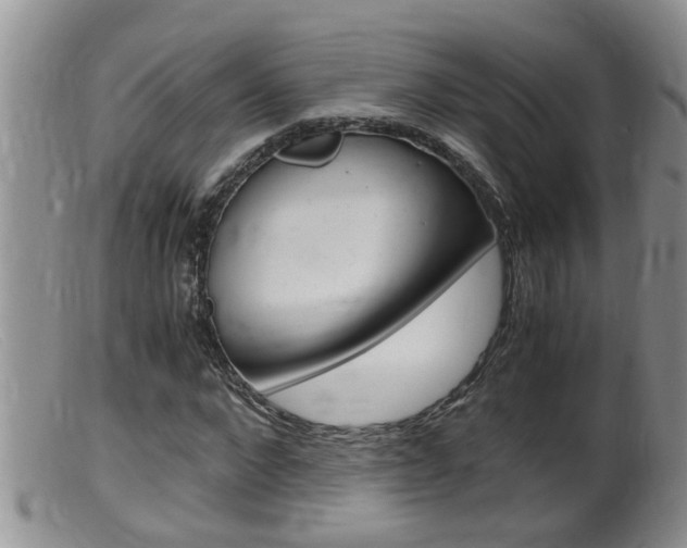 X0000099530872200805160722