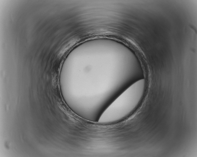 X0000099530873200805160722