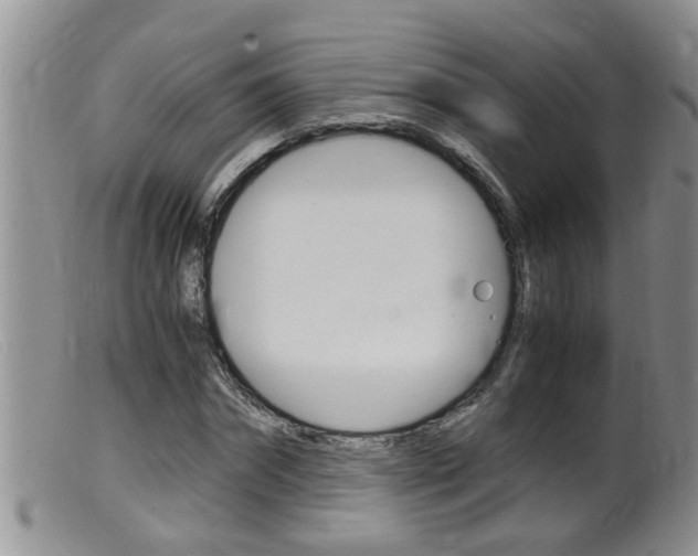 X0000099530874200805160722