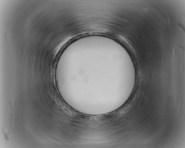 X0000099530875200805160722