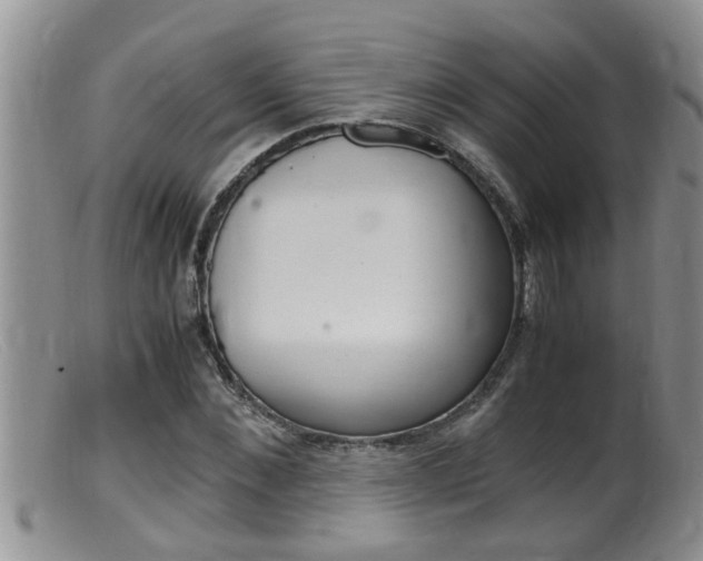 X0000099530876200805160722