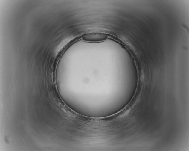 X0000099530877200805160722