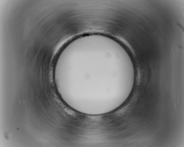 X0000099530878200805160722