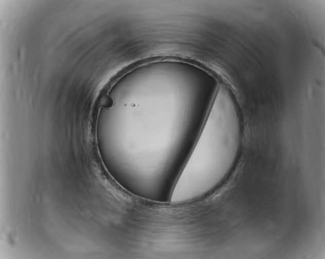 X0000099530880200805160722