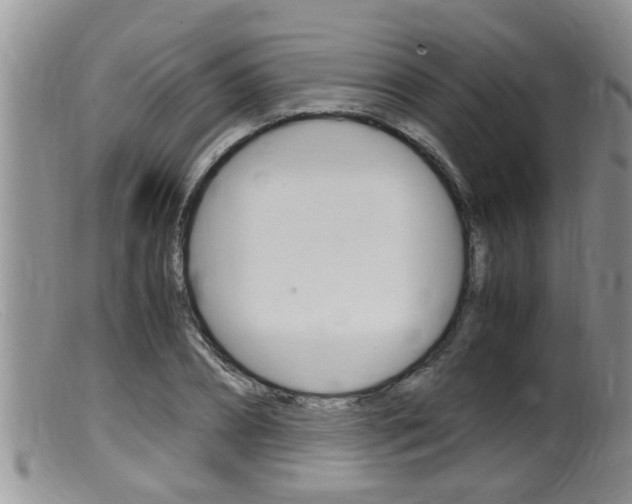 X0000099530882200805160722