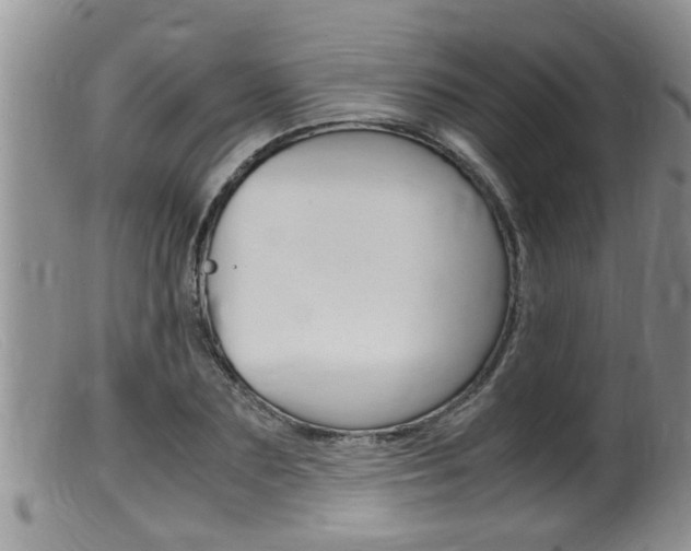 X0000099530883200805160722