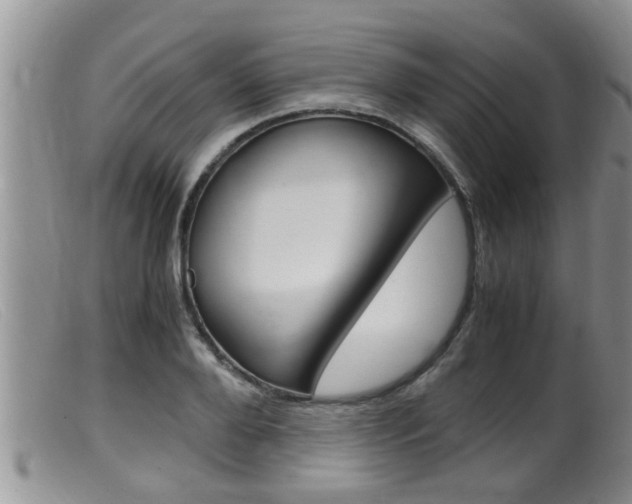 X0000099530888200805160722