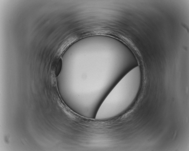 X0000099530889200805160722